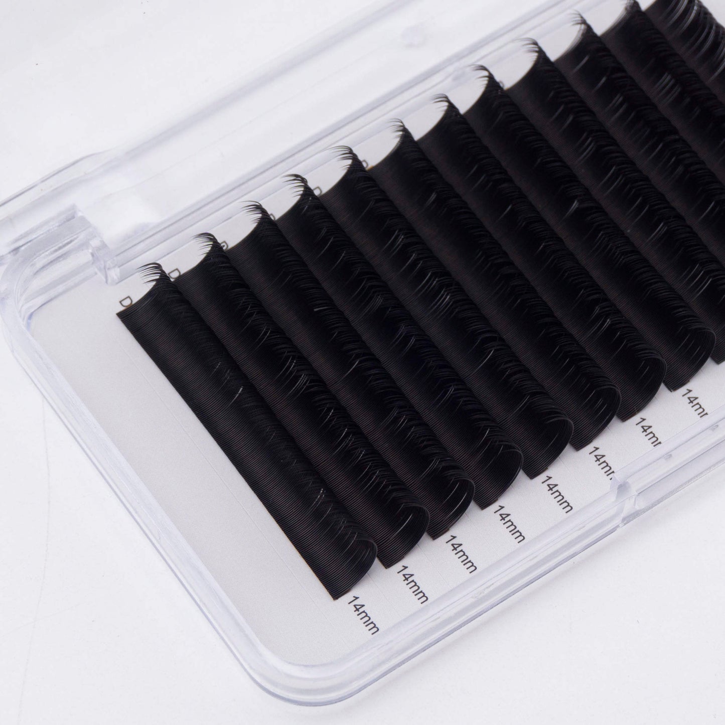 CLASSIC LASH TRAYS